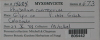 Image Associated With the Occurence